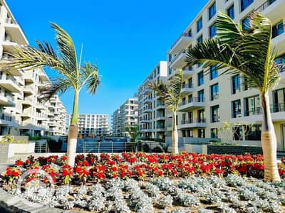 3 Bedroom Flat for Sale in Palm Hills, Alexandria - WhatsApp Image 2026-05-19 at 12.51. 14 PM (1). jpeg 3 Bedroom Flat for Sale in Palm Hills, Alexandria - WhatsApp Image 2026-05-19 at 12.51. 14 PM (1). jpeg