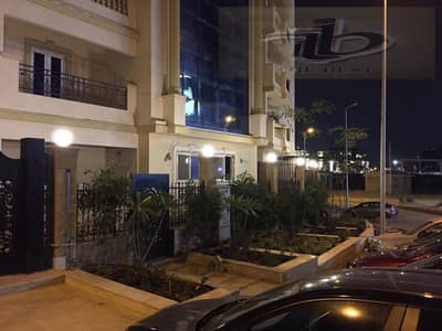 شقة 3 غرف نوم للبيع في القاهرة الجديدة، القاهرة - c3295876-530f-443b-9b7c-b9ac9205ba1a. jpeg شقة 3 غرف نوم للبيع في القاهرة الجديدة، القاهرة - c3295876-530f-443b-9b7c-b9ac9205ba1a. jpeg