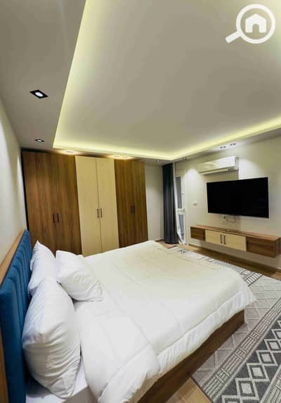 1 Bedroom Hotel Apartment for Rent in Dokki, Giza - 1000336449. jpg