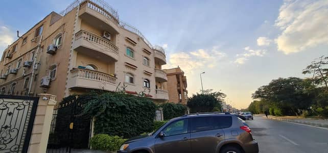 5 Bedroom Roof for Sale in New Cairo, Cairo - روف كامل مميز للبيع 5 Bedroom Roof for Sale in New Cairo, Cairo - روف كامل مميز للبيع