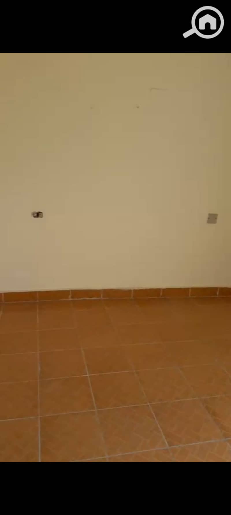 8 1000102396. jpg