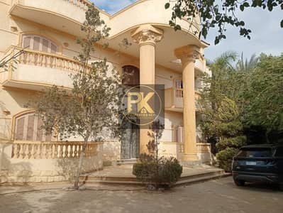 5 Bedroom Villa for Sale in Mansuriyya, Giza - 56811e0a-b2b4-4c20-a8eb-a12b490b5d11. jpg