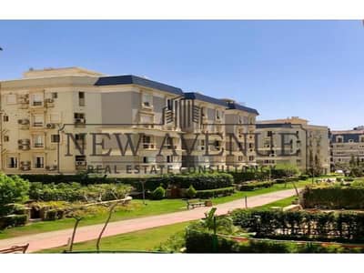 3 Bedroom Apartment for Sale in New Cairo, Cairo - 6. jpg