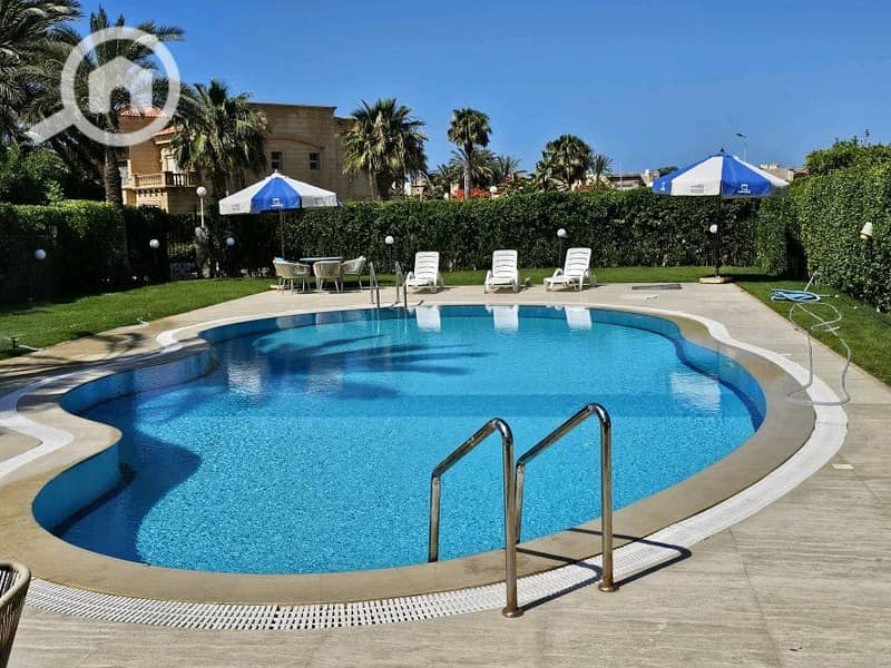 5 WhatsApp Image 2026-05-20 at 17.45. 56. jpeg