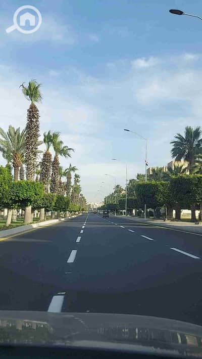 Land for Sale in Borg al-Arab, Alexandria - 1000161244. jpg Land for Sale in Borg al-Arab, Alexandria - 1000161244. jpg