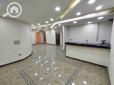 Office for Rent in Saba Pasha, Alexandria - 9125. jpg Office for Rent in Saba Pasha, Alexandria - 9125. jpg