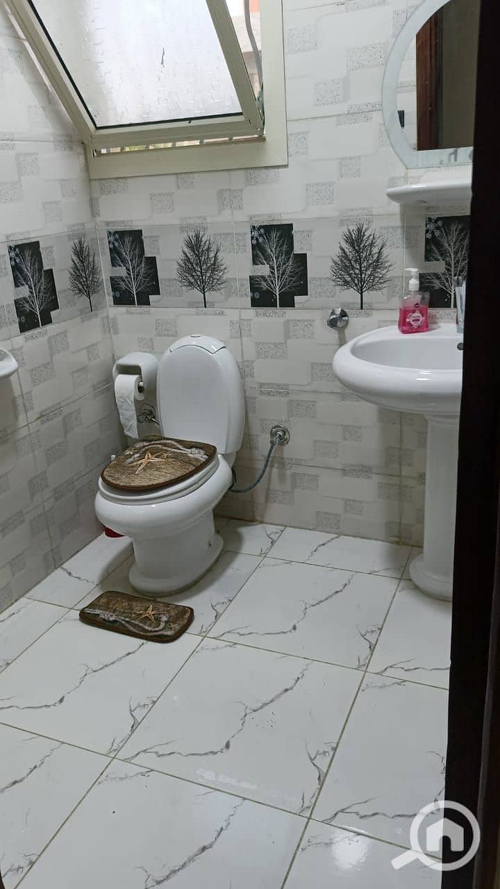 22 31875. jpg