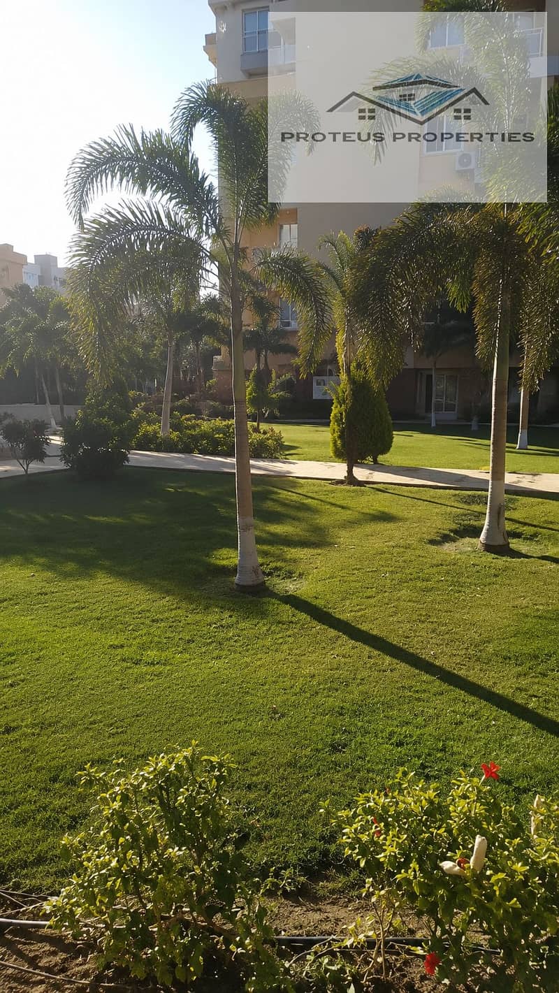 3 ChatGPT Image 22 مايو 2026، 09_10_35 م. png