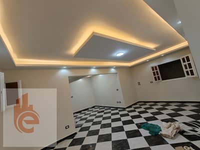 2 Bedroom Flat for Rent in Sidi Beshr, Alexandria - 960c3af7-e312-49f2-9ae0-ce3eaeca5d8f. jpg