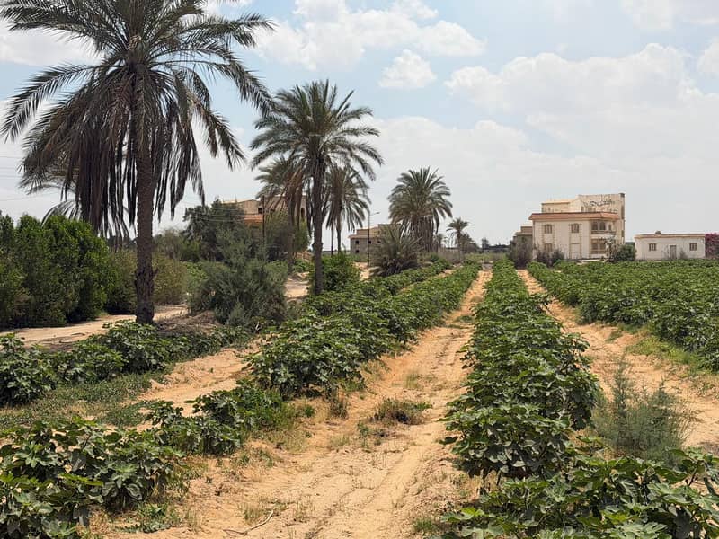 أرض زراعية 102 فدان واجهة مباشرة علي طريق مصر أسكندريه الصحراوي أمام ا أرض زراعية 102 فدان واجهة مباشرة علي طريق مصر أسكندريه الصحراوي أمام ا