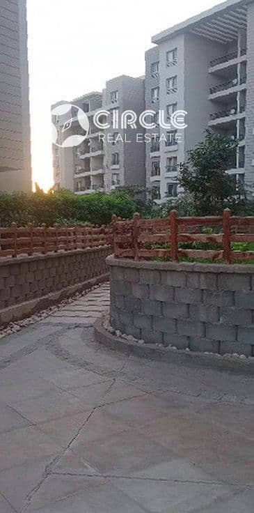 11 Image21. jpg