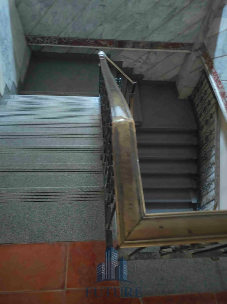 3 1000287325. jpg