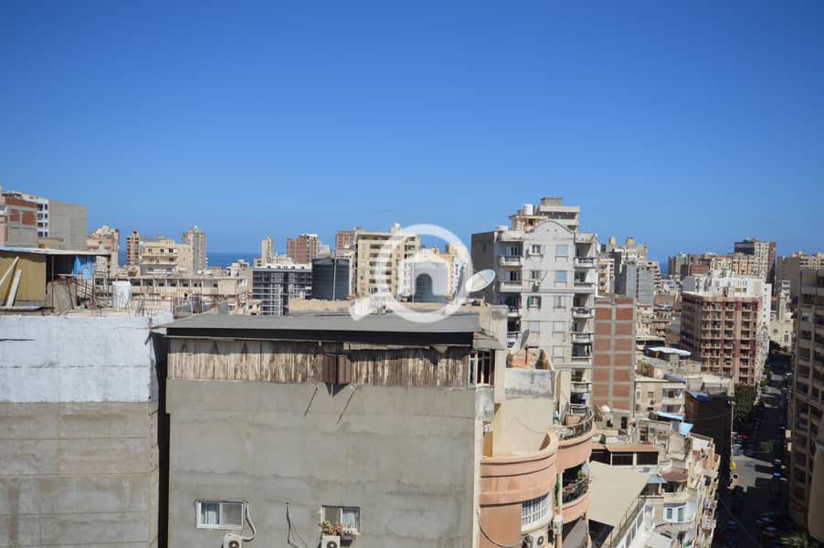 Apartment For Sale 200m, Omar Zafan (off La Gaite Street) – Ibrahimiyya – 10/14th floor – direct street view – full meters – 2 elevators. - Bild 6