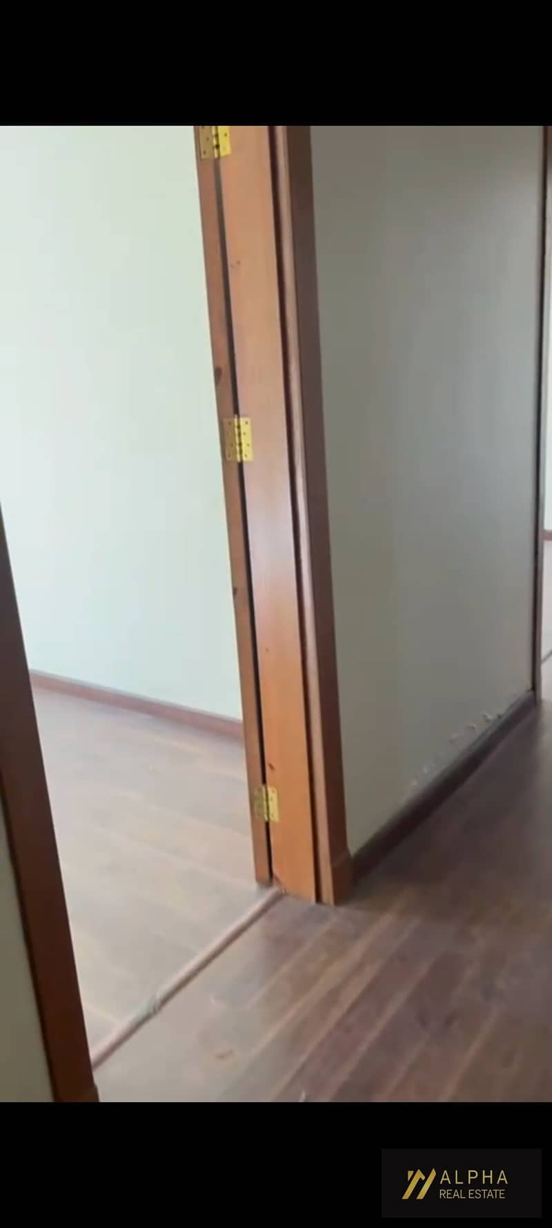 28 1000322779. jpg