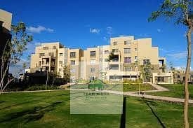 7 492027462_4021169591436448_2249201101154251878_n. jpg