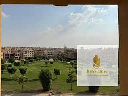 5 44. jpg