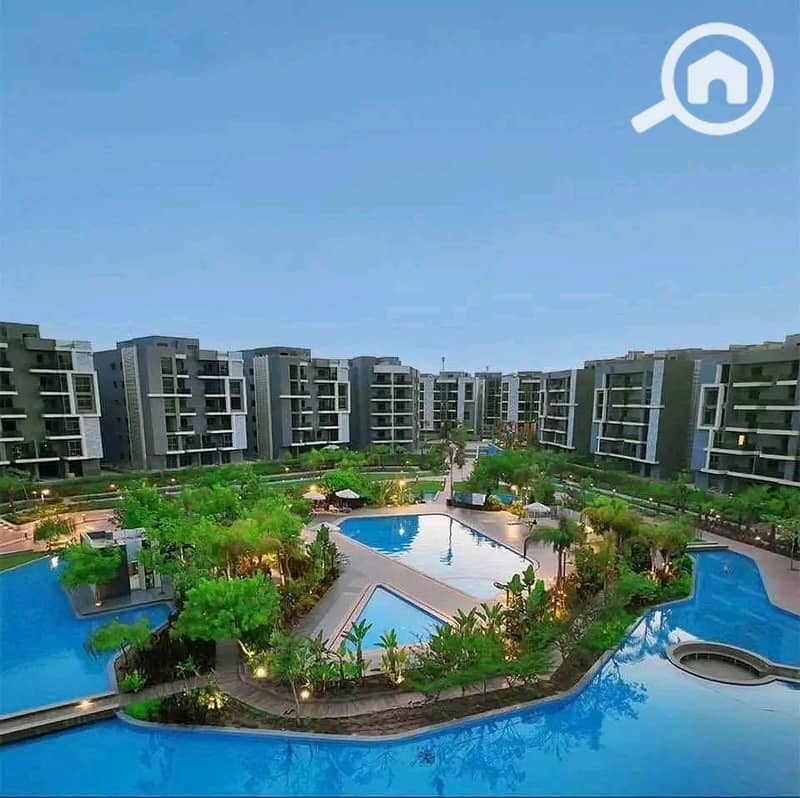 2 1000285851. jpg
