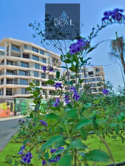 3 Bedroom Apartment for Sale in New Capital City, Cairo - WhatsApp Image 2026-05-26 at 2.46. 42 PM (1). jpeg 3 Bedroom Apartment for Sale in New Capital City, Cairo - WhatsApp Image 2026-05-26 at 2.46. 42 PM (1). jpeg
