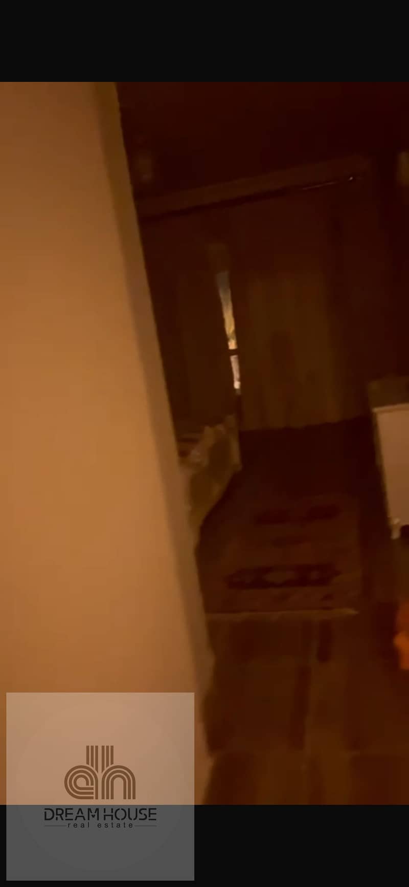 18 IMG_2623. png