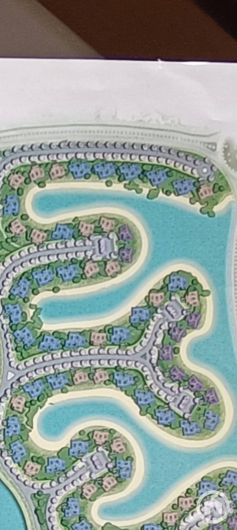 4 267705. jpg