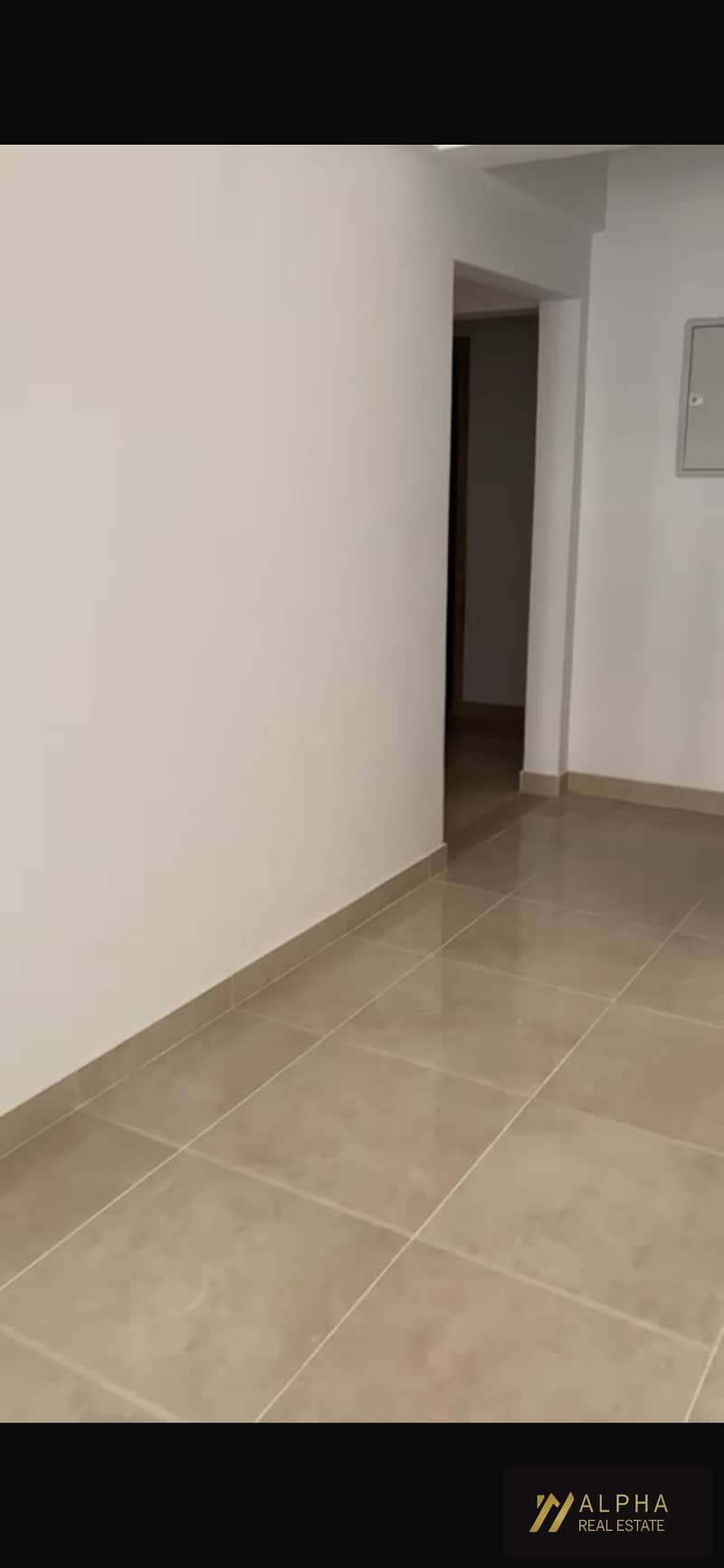 8 IMG_5853. png