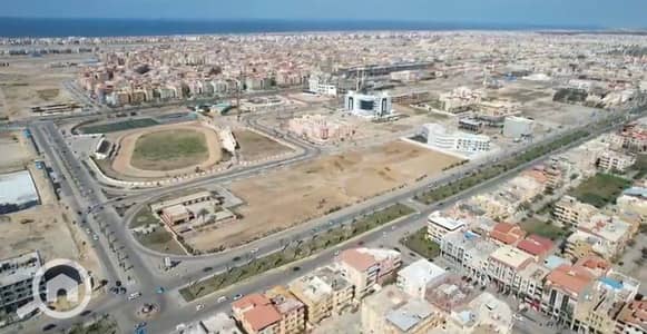 أرض تجارية للبيع في دمياط الجديدة، دمياط - 1000292183. jpg أرض تجارية للبيع في دمياط الجديدة، دمياط - 1000292183. jpg
