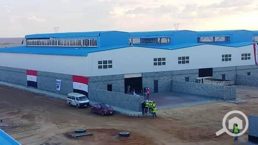 Factory for Rent in Borg al-Arab, Alexandria - 33b0b84a-5583-4492-ba67-5eb7d4afb3f9-1_all_610. jpg