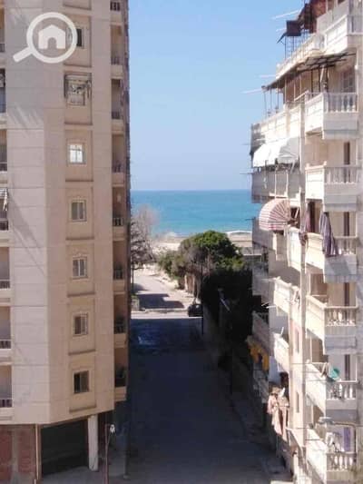 2 Bedroom Apartment for Sale in Agami, Alexandria - f7814740-0571-4bce-8bae-6785a176d031. jpg 2 Bedroom Apartment for Sale in Agami, Alexandria - f7814740-0571-4bce-8bae-6785a176d031. jpg