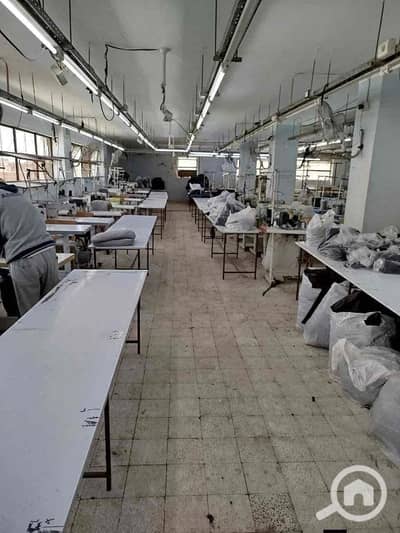 مصنع للايجار في العامرية، الإسكندرية - IMG_9695. jpg مصنع للايجار في العامرية، الإسكندرية - IMG_9695. jpg