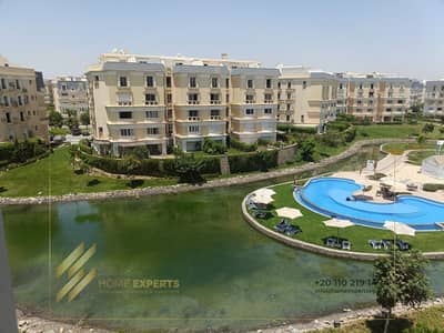 اي فيلا 4 غرف نوم للايجار في القاهرة الجديدة، القاهرة - 17ec8b39-46c1-4724-b823-436cfd77bc00. jpg اي فيلا 4 غرف نوم للايجار في القاهرة الجديدة، القاهرة - 17ec8b39-46c1-4724-b823-436cfd77bc00. jpg