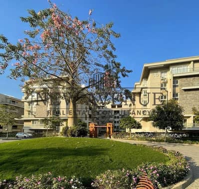 3 Bedroom Apartment for Sale in New Cairo, Cairo - d353efa9-1be7-451c-b9a7-650d558b0d6a. jpg 3 Bedroom Apartment for Sale in New Cairo, Cairo - d353efa9-1be7-451c-b9a7-650d558b0d6a. jpg