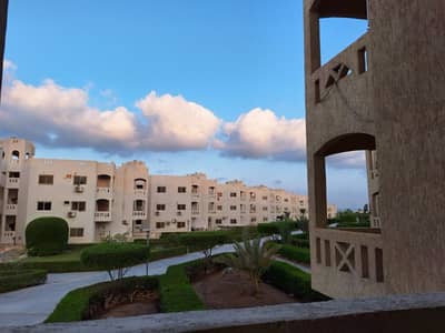 2 Bedroom Chalet for Sale in Ras Sedr, Sinai - شاليه بحصة فى الارض بقرية موسى كوست - Chalet At Mousa Coast