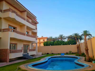 3 Bedroom Apartment for Rent in Shorouk City, Cairo - شقة فاخرة للإيجار داخل فيلا راقية بحمام سباحة – 210 م² + مطبخ 3 Bedroom Apartment for Rent in Shorouk City, Cairo - شقة فاخرة للإيجار داخل فيلا راقية بحمام سباحة – 210 م² + مطبخ