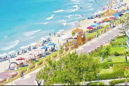 شاليه 2 غرفة نوم للايجار في المعمورة، الإسكندرية - فرصة مميزة بالمعمورة الشاطئ. . شاليه غرفتين وريسبشن على البحر مباشرة