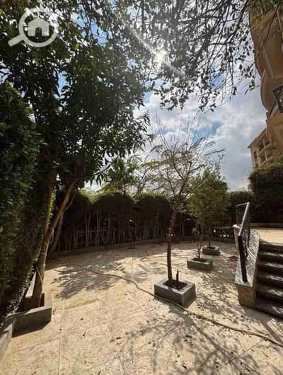 3 Bedroom Apartment for Sale in New Cairo, Cairo - 1000634980. jpg