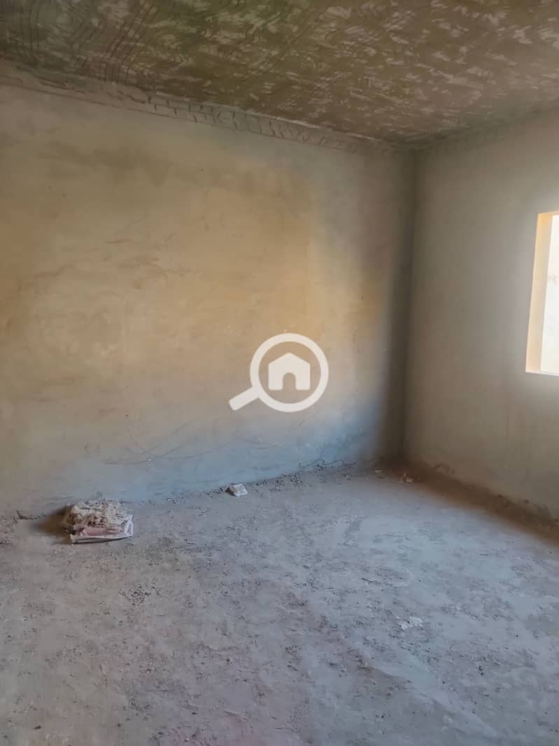 3 1000236969. jpg
