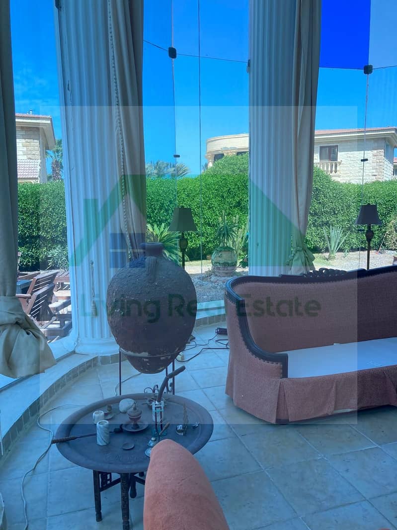 5 1000014758. jpg