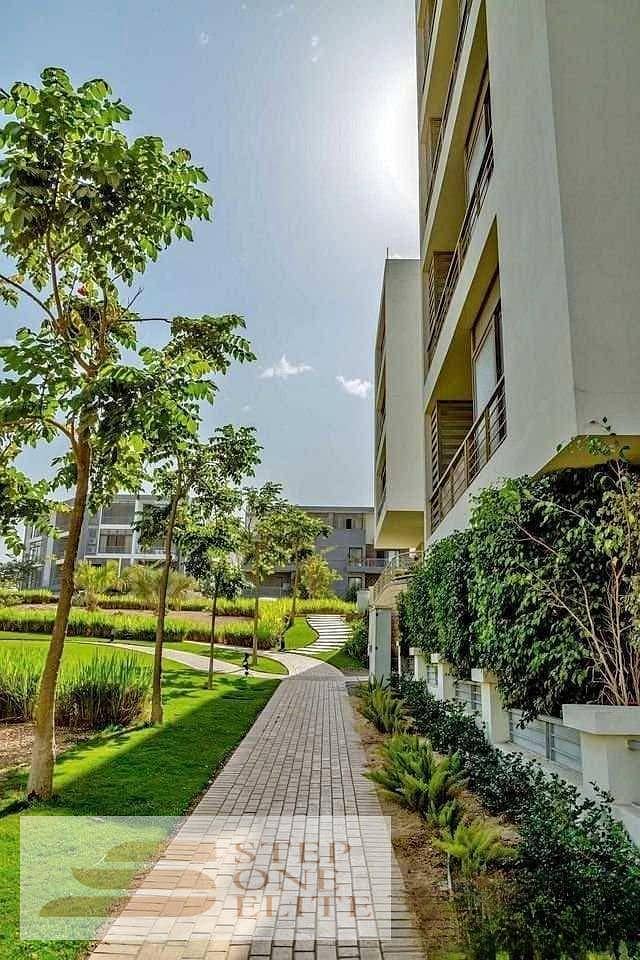 3 681827240_4335900286669623_7304392908616518643_n. jpg
