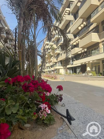 3 Bedroom Flat for Sale in New Capital City, Cairo - WhatsApp Image 2026-06-01 at 3.01. 57 PM - Copy. jpeg
