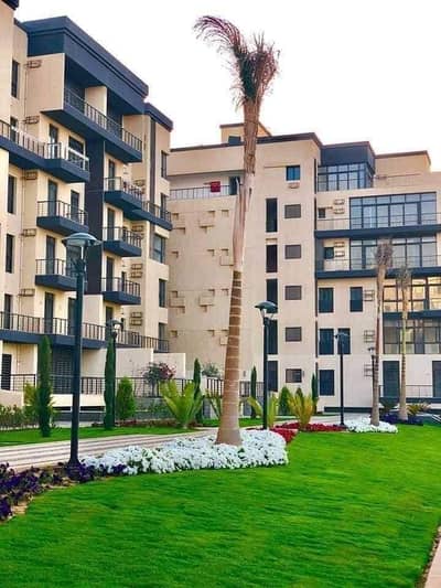 3 Bedroom Flat for Rent in Madinaty, Cairo - WhatsApp Image 2026-06-01 at 16.55. 30. jpeg 3 Bedroom Flat for Rent in Madinaty, Cairo - WhatsApp Image 2026-06-01 at 16.55. 30. jpeg