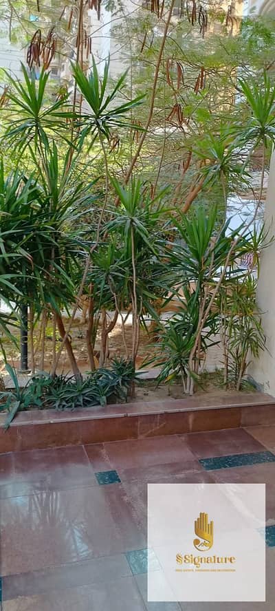 شقة 3 غرف نوم للبيع في مدينة نصر، القاهرة - WhatsApp Image 2026-05-04 at 6.19. 34 PM. jpeg شقة 3 غرف نوم للبيع في مدينة نصر، القاهرة - WhatsApp Image 2026-05-04 at 6.19. 34 PM. jpeg