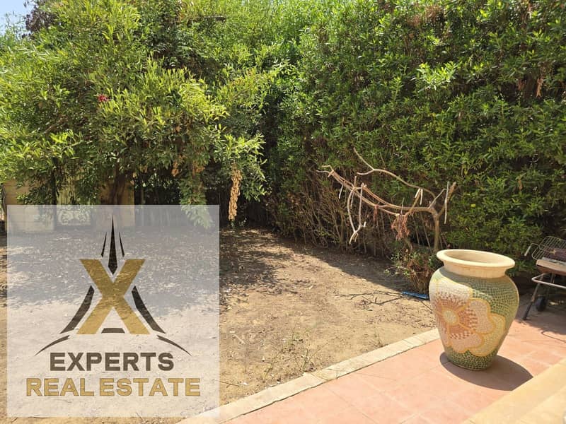 10 1000011266. jpg