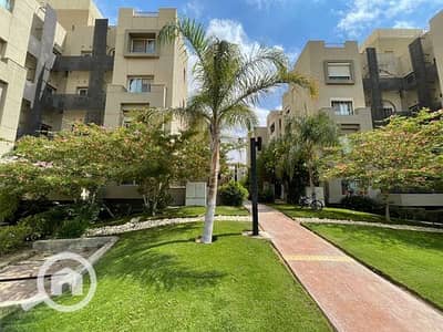 1 Bedroom Apartment for Rent in New Cairo, Cairo - WhatsApp Image 2026-05-24 at 1.50. 06 PM (4). jpeg 1 Bedroom Apartment for Rent in New Cairo, Cairo - WhatsApp Image 2026-05-24 at 1.50. 06 PM (4). jpeg