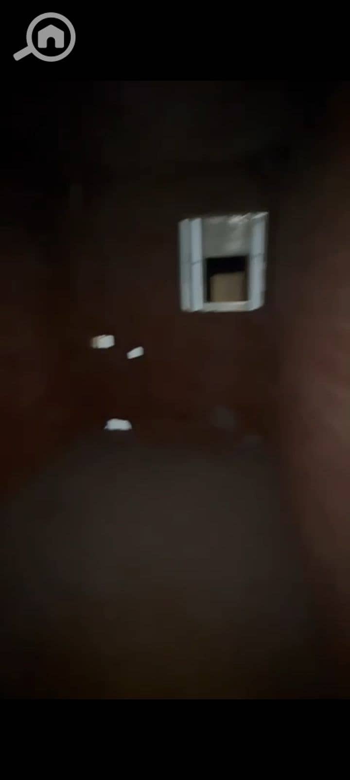 7 1000238526. jpg