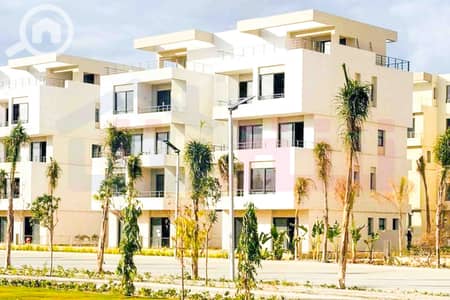 5 Bedroom Townhouse for Sale in Palm Hills, Alexandria - WhatsApp Image 2024-12-06 at 3.47. 21 AM. jpg 5 Bedroom Townhouse for Sale in Palm Hills, Alexandria - WhatsApp Image 2024-12-06 at 3.47. 21 AM. jpg