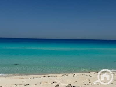 4 Bedroom Villa for Sale in North Coast, Matruh - WhatsApp Image 2026-06-02 at 19.23. 13 (1). jpeg 4 Bedroom Villa for Sale in North Coast, Matruh - WhatsApp Image 2026-06-02 at 19.23. 13 (1). jpeg
