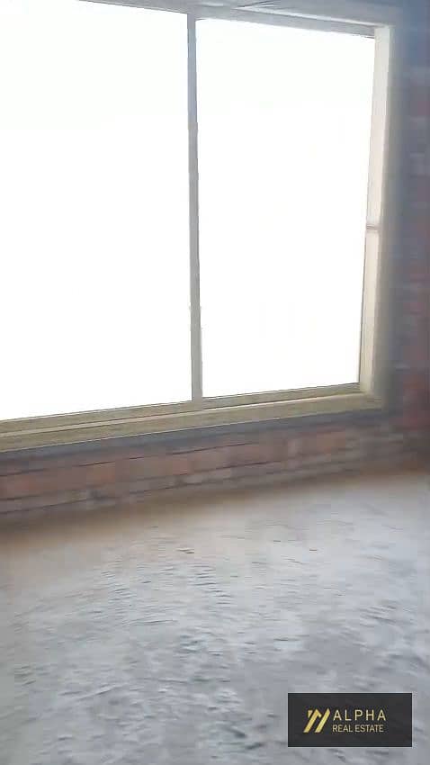 5 1000928206. jpg