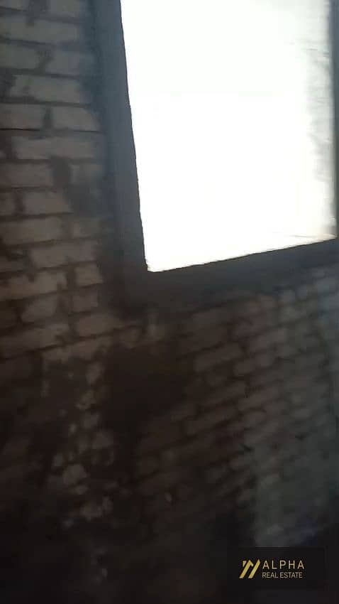 8 1000928204. jpg