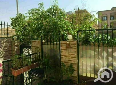 3 Bedroom Flat for Sale in New Cairo, Cairo - WhatsApp Image 2026-06-03 at 12.49. 32 PM (2). jpeg 3 Bedroom Flat for Sale in New Cairo, Cairo - WhatsApp Image 2026-06-03 at 12.49. 32 PM (2). jpeg