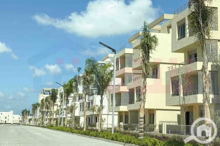 5 Bedroom Townhouse for Sale in Palm Hills, Alexandria - WhatsApp Image 2026-05-14 at 6.28. 08 PM (2). jpg 5 Bedroom Townhouse for Sale in Palm Hills, Alexandria - WhatsApp Image 2026-05-14 at 6.28. 08 PM (2). jpg